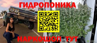 ешки Коммунар