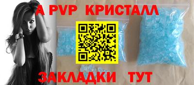 дурь Кингисепп