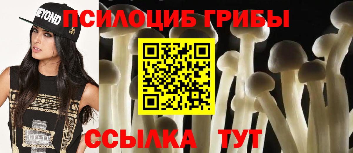 Псилоцибиновые грибы MAGIC MUSHROOMS Благовещенск