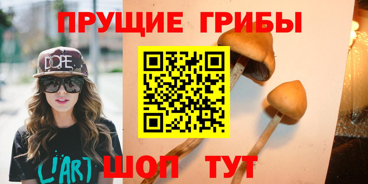 Псилоцибиновые грибы Psilocybine cubensis  Вход с VPN  Галлюциногенные грибы мухоморы  Благовещенск 